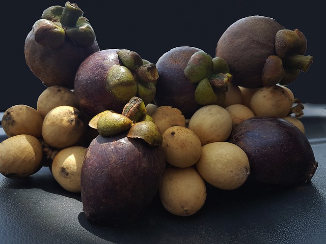 mangostan